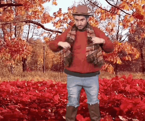 A Man In A Red Sweater And A Hat Is Standing In A Field Of Red Leaves GIF