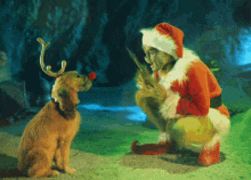 A Man In A Santa Hat Is Kneeling Down Next To A Dog GIF