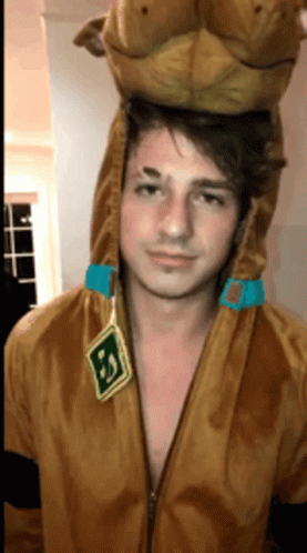 A Man In A Scooby Doo Costume Has A Stuffed Animal On His Head . GIF