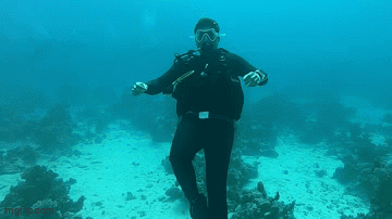 A Man In A Scuba Suit Is Swimming In The Ocean . GIF