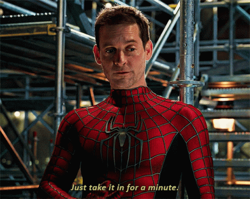 A Man In A Spider Man Costume Says Just Take It In For A Minute GIF