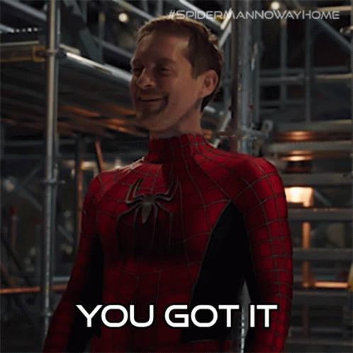 A Man In A Spider Man Costume Says You Got It GIF