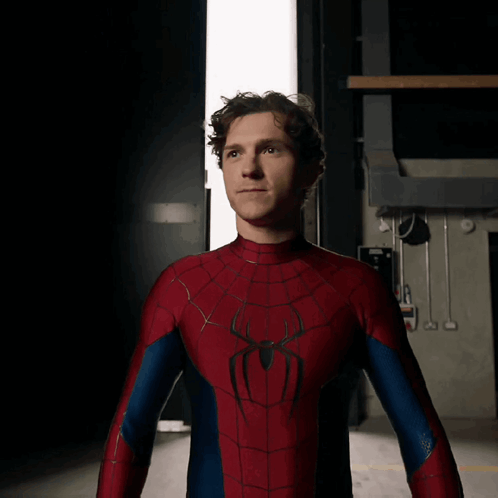 A Man In A Spiderman Costume Stands In Front Of A Door GIF
