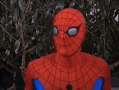 a man in a spiderman costume stands in front of trees