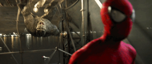 A Man In A Spiderman Suit Looks At A Large Spider GIF