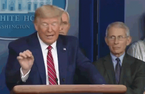 A Man In A Suit And Tie Is Giving A Speech At A Podium In Front Of A White House Sign . GIF