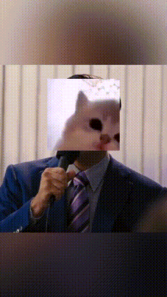A Man In A Suit And Tie Is Holding A Microphone With A Cat Behind His Face GIF