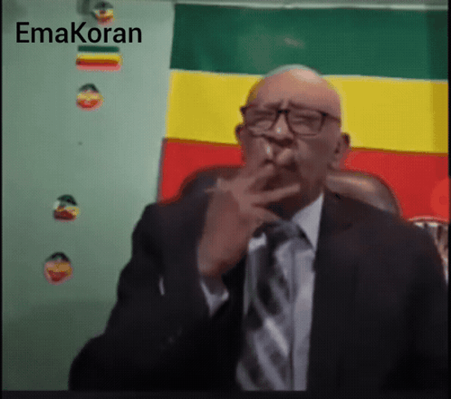 a man in a suit and tie is smoking a cigarette in front of a flag that says emakoran