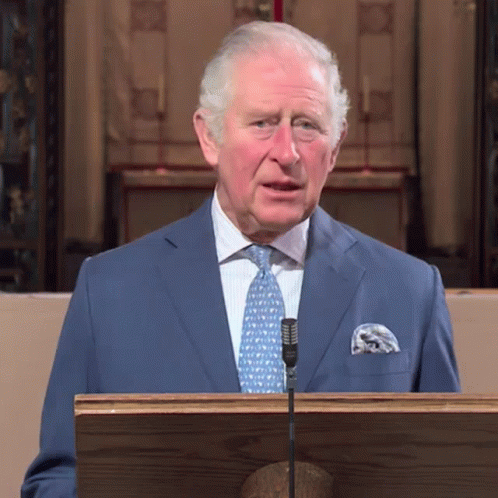 A Man In A Suit And Tie Is Standing At A Podium GIF