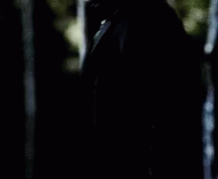 a man in a suit and tie is standing in a dark forest .