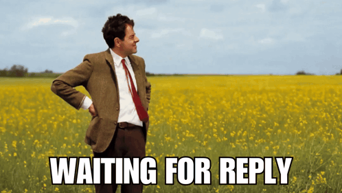 A Man In A Suit And Tie Is Standing In A Field Of Yellow Flowers With The Words Waiting For Reply Above Him GIF