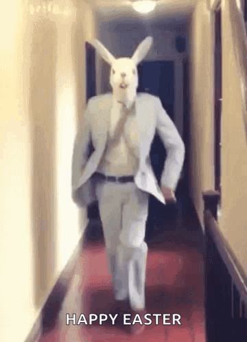 A Man In A Suit And Tie Is Walking Down A Hallway With A Rabbit Mask On His Head . GIF