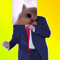 A Man In A Suit And Tie With A Cat On His Head GIF