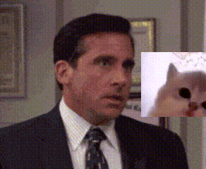 A Man In A Suit And Tie With A Picture Of A Cat In The Background GIF