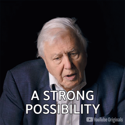 a man in a suit says " a strong possibility " in front of him