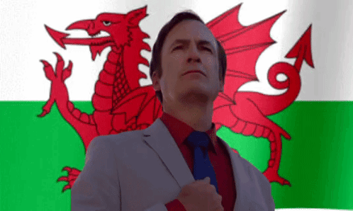 A Man In A Suit Stands In Front Of A Flag With A Red Dragon On It GIF