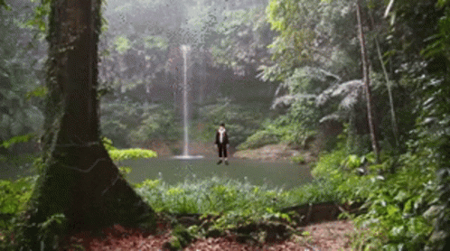 A Man In A Suit Stands In Front Of A Waterfall In The Woods GIF
