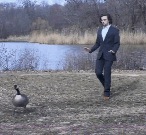 A Man In A Suit Walking Next To A Goose Near A Lake GIF