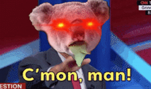 A Man In A Suit With A Koala Bear On His Head Says C Mon Man GIF