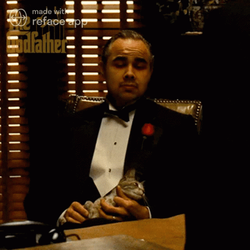 A Man In A Tuxedo Sits At A Desk With A Cat On His Lap And The Words I Understand Above Him GIF