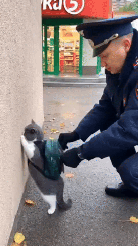 A Man In A Uniform Is Petting A Cat With A Backpack On Its Back GIF