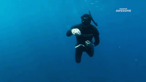 A Man In A Wetsuit Is Swimming In The Ocean With The Words Awesome On The Bottom Of The Screen GIF
