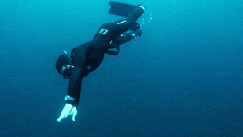 A Man In A Wetsuit Is Swimming In The Water GIF