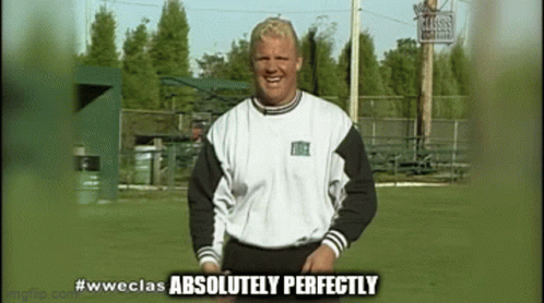 A Man In A White And Black Shirt Is Standing In A Field With The Words Absolutely Perfectly Below Him GIF