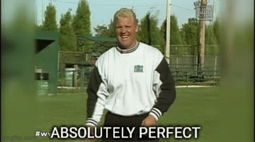 A Man In A White And Black Shirt Is Standing On A Field With The Words " Absolutely Perfect " Below Him GIF