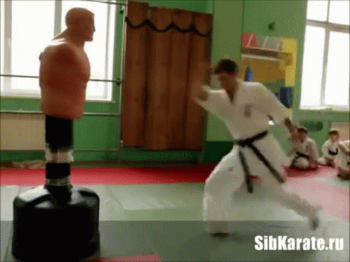 A Man In A White Karate Uniform Is Kicking A Punching Bag In A Gym With Sibkarate.ru Written On The Bottom GIF