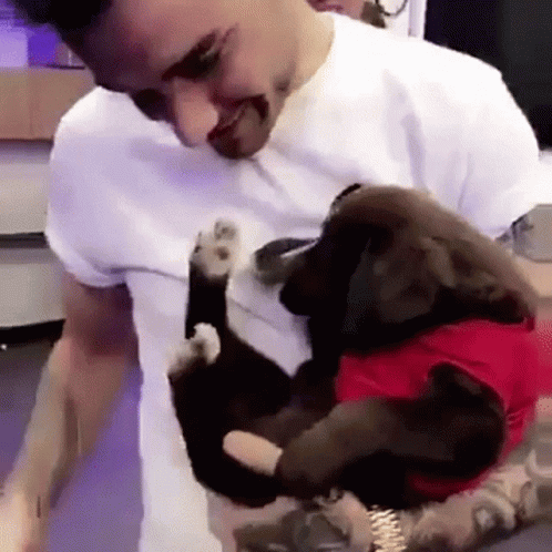 A Man In A White Shirt Is Holding A Puppy Wearing A Red Shirt GIF