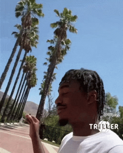 A Man In A White Shirt Is Standing In Front Of Palm Trees . GIF