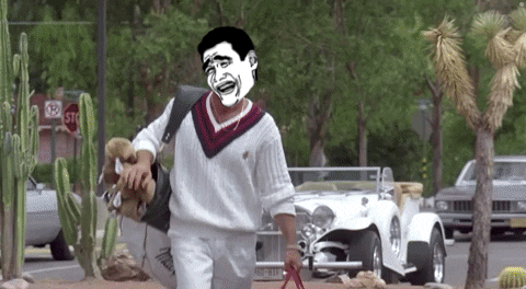 A Man In A White Sweater Is Walking A Dog With A Stop Sign Behind Him GIF