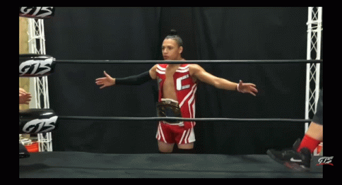 A Man In A Wrestling Ring With Gts Gloves On His Hands GIF