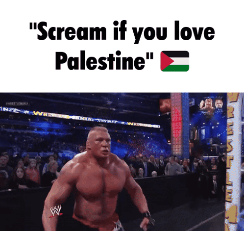 A Man In A Wrestling Ring With The Words " Scream If You Love Palestine " Below Him GIF