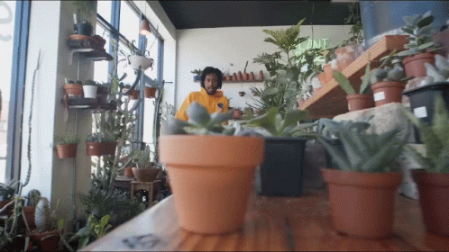 A Man In A Yellow Hoodie Stands In Front Of Potted Plants In A Store GIF
