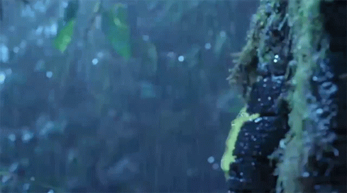 A Man In A Yellow Raincoat Is Standing In The Rain . GIF
