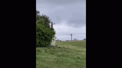 A Man In A Yellow Suit Is Standing In A Field . GIF