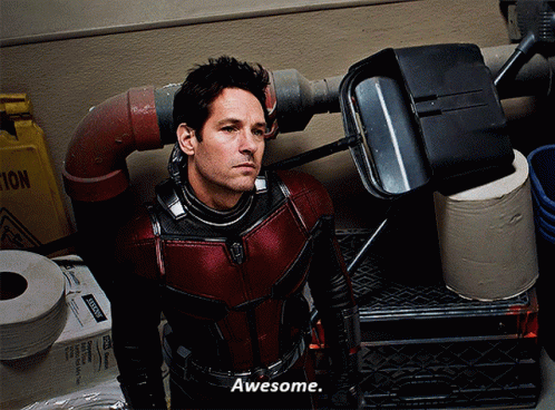 Man In Antman Costume Saying Awesome GIF