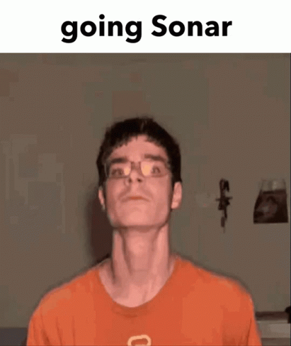 A Man In An Orange Shirt Is Making A Funny Face With The Words Going Sonar Below Him . GIF