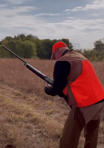 A Man In An Orange Vest Is Holding A Rifle In A Field GIF