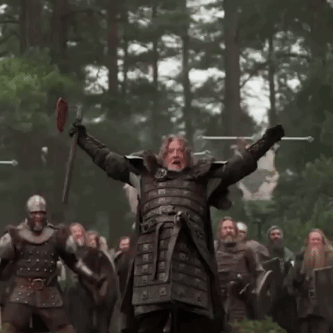 A Man In Armor Is Standing In Front Of A Group Of Soldiers Holding Swords . GIF