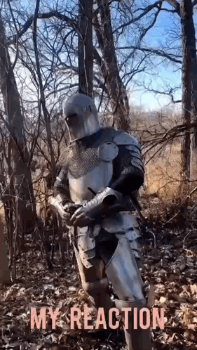 A Man In Armor Is Standing In The Woods With The Words `` My Reaction '' Written Below Him . GIF