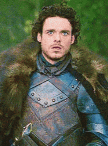 A Man In Armor With A Fur Collar GIF