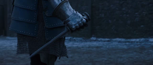 A Man In Chain Mail Is Standing In Front Of A Crowd Of People GIF