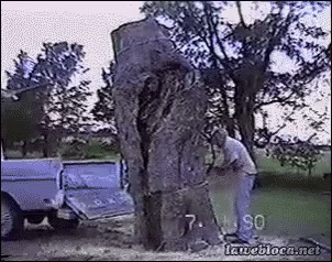A Man Is Cutting A Tree With A Chainsaw In A Park . GIF