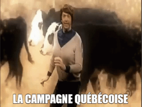 A Man Is Dancing In Front Of A Herd Of Cows In A Field . GIF