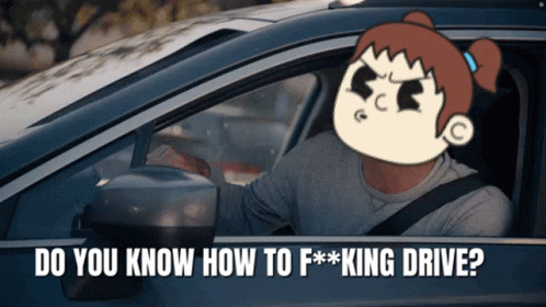 A Man Is Driving A Car With The Words Do You Know How To F * King Drive GIF