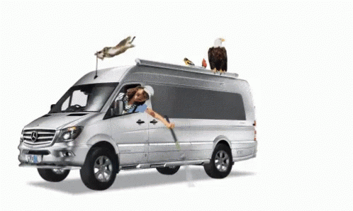 A Man Is Driving A Van With An Eagle And A Rabbit On The Roof GIF