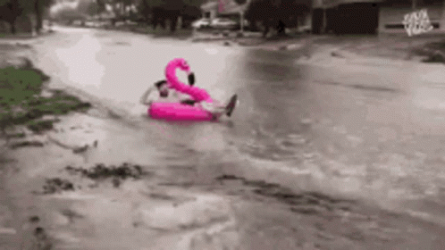 A Man Is Floating On A Pink Flamingo Float In The Water . GIF